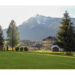 Hotel Berghof Mitterberg